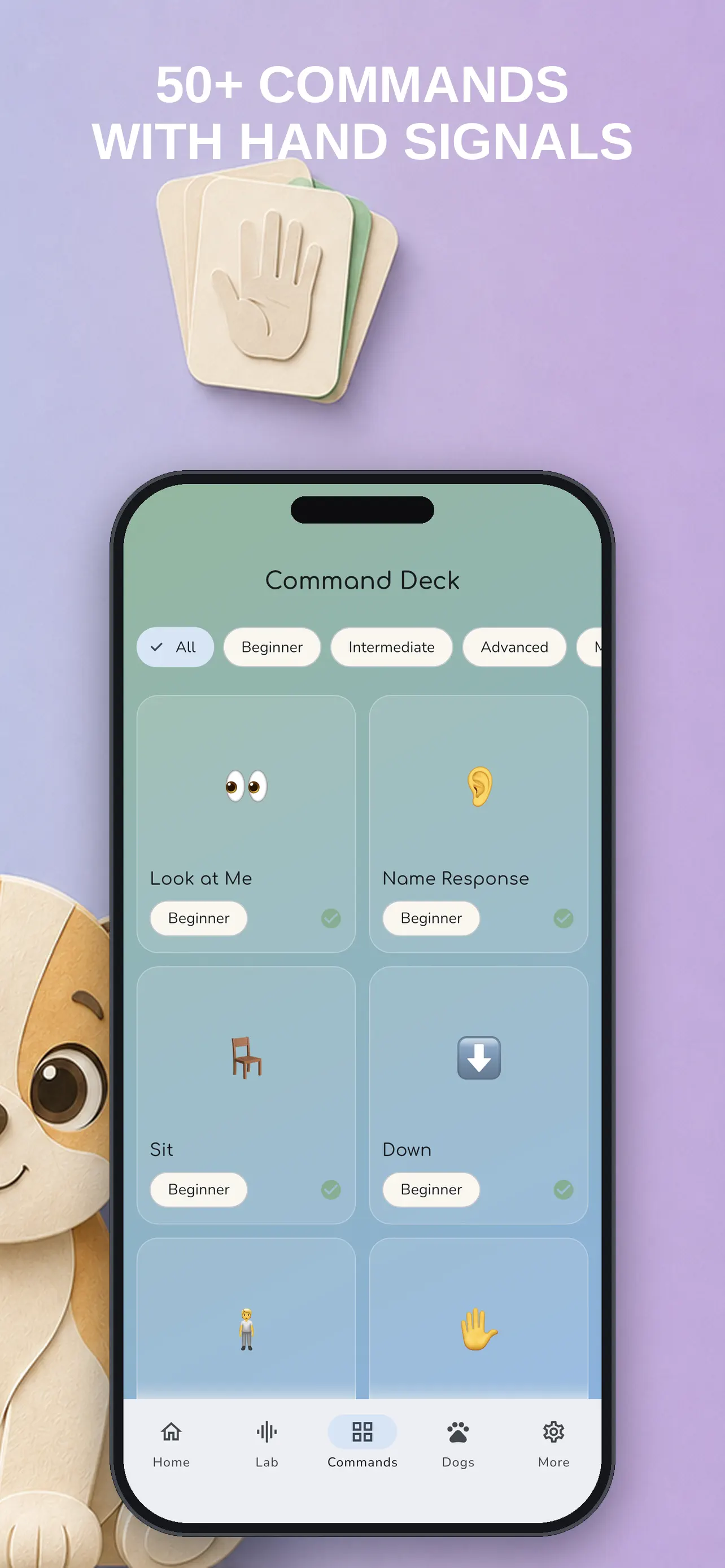Command library with training instructions and hand signals