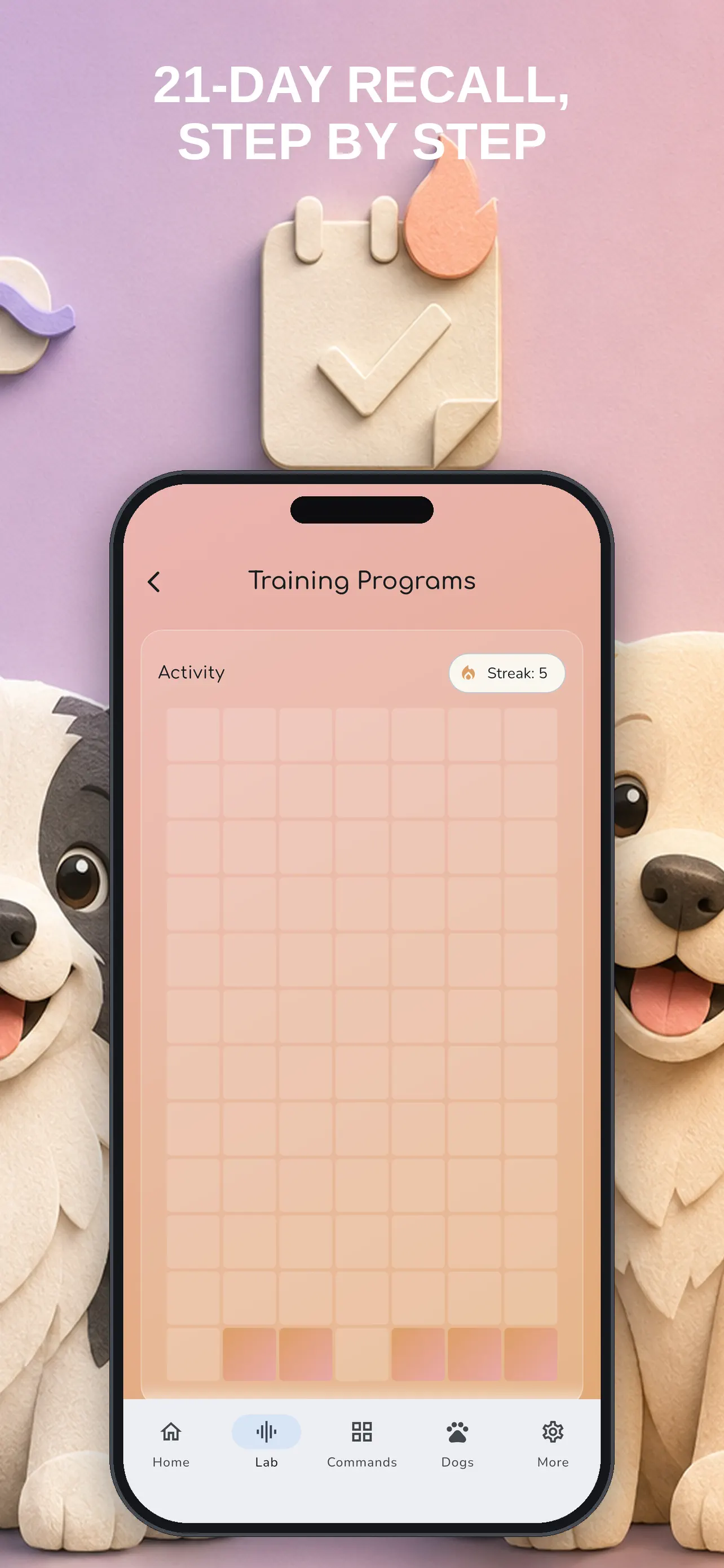 Guided training programs with daily progress steps